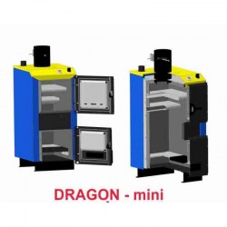 dragon_mini2